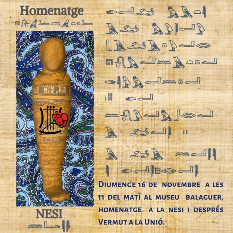 launio_activitats-nesi